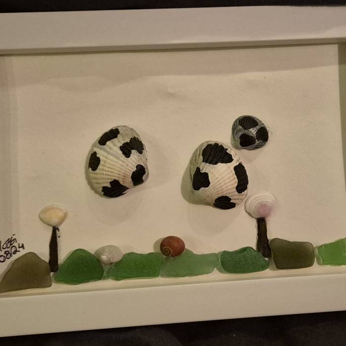 verzierte-muscheln-min